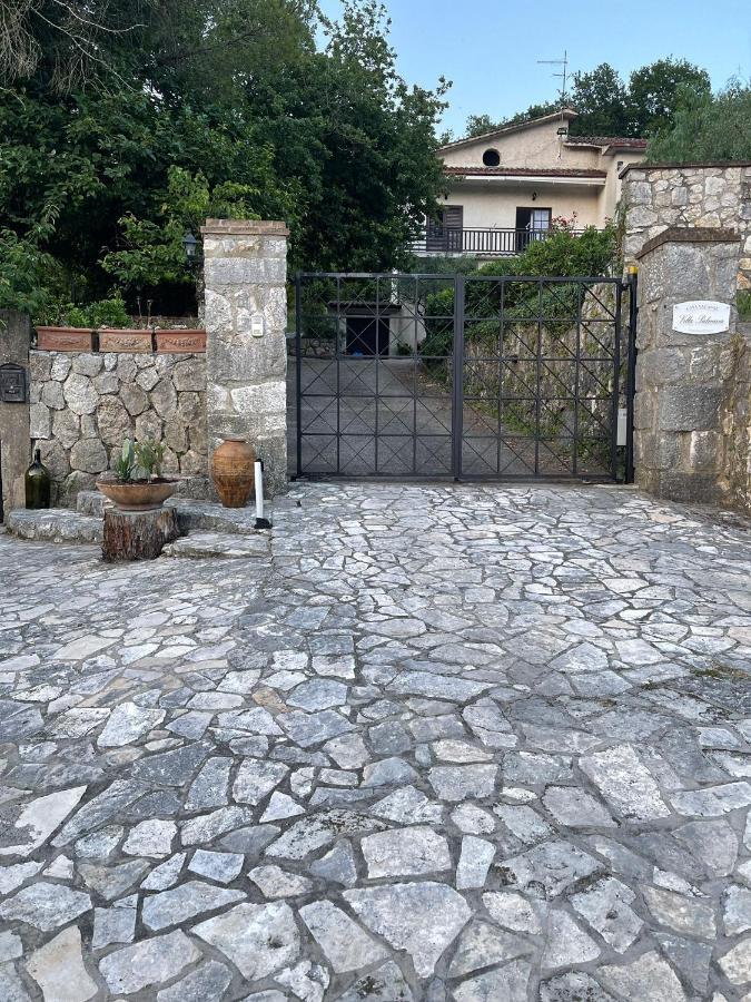 Palmina Castelnuovo Parano
