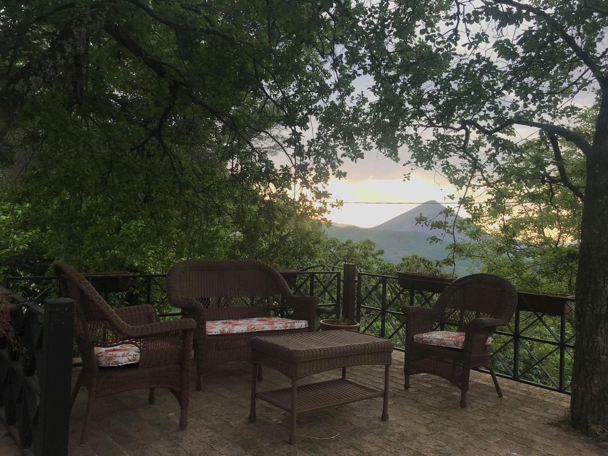 Palmina Villa *